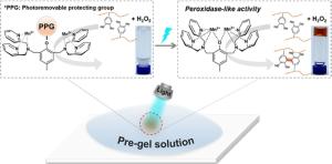 Photoactivatable Artificial Peroxidase System Using a Dimanganese Complex and Its Application to Light-Controlled Synthesis of Hydrogel