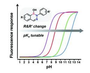 Investigation of a benzodiazaborine library to identify new pH-responsive fluorophores†