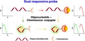 Oligonucleotide−Chemosensor Conjugate as a Dual Responsive Detection Platform and Its Application for Simultaneous Detection of ATP and Zn2+