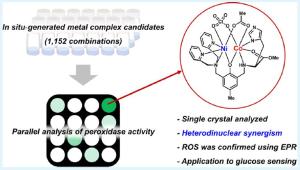 High-Throughput Approach for Facile Access to Hetero-Dinuclear Synergistic Metal Complex for H2O2 Activation and Its Implications